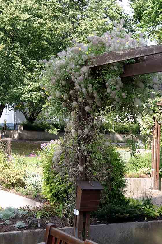 Sinnenas Park - Berså