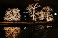 Jul i Stadsparken