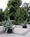 Stadsparken