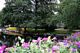 Stadsparken